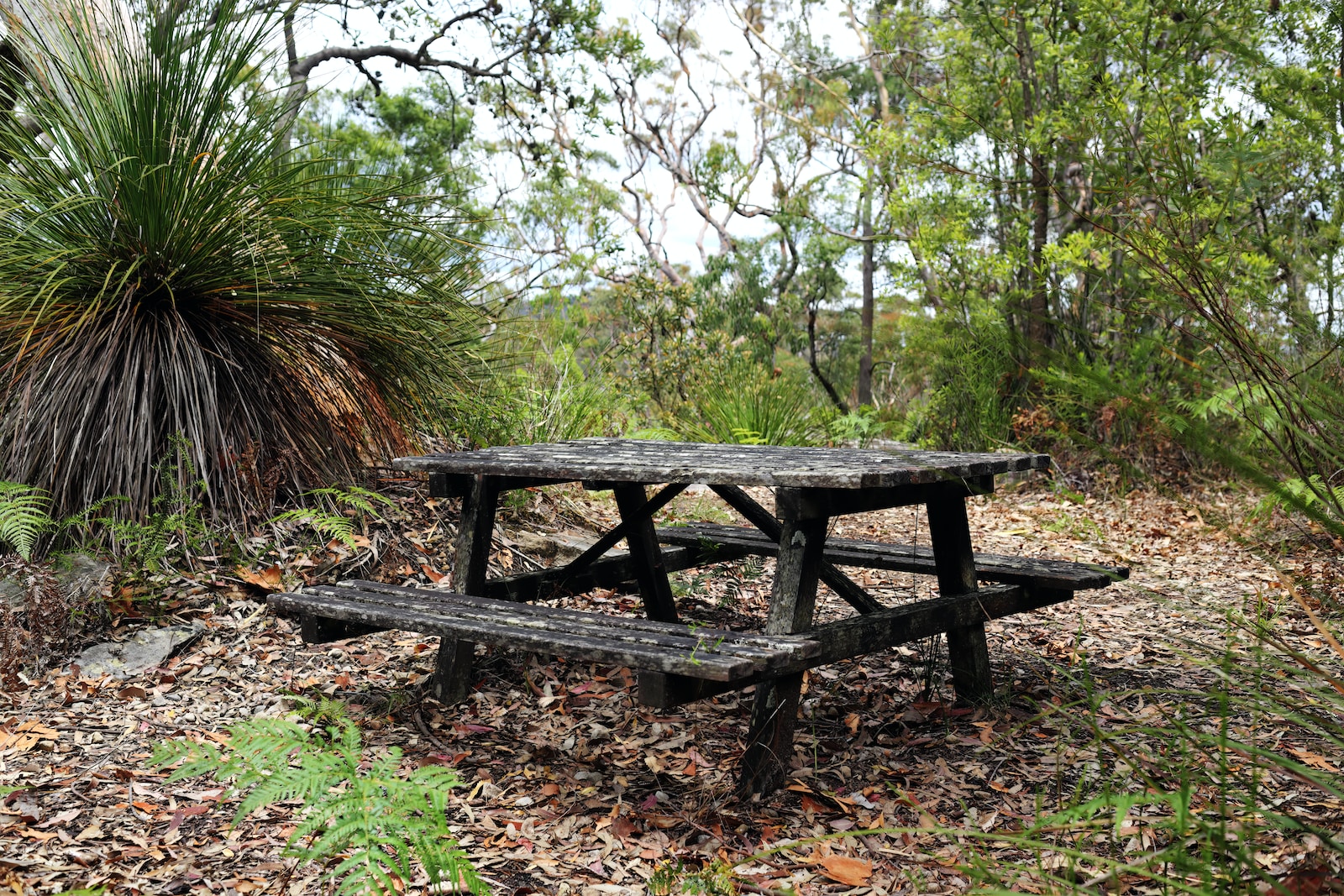 a picnic table sitting in the middle of a forest