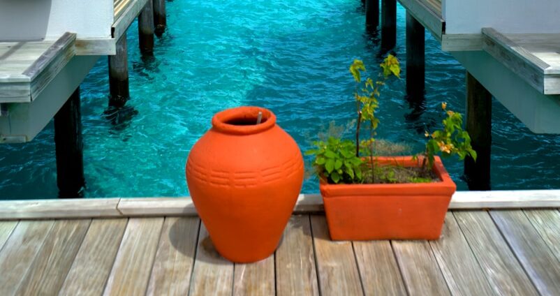 a deck with a potted plant and a body of water